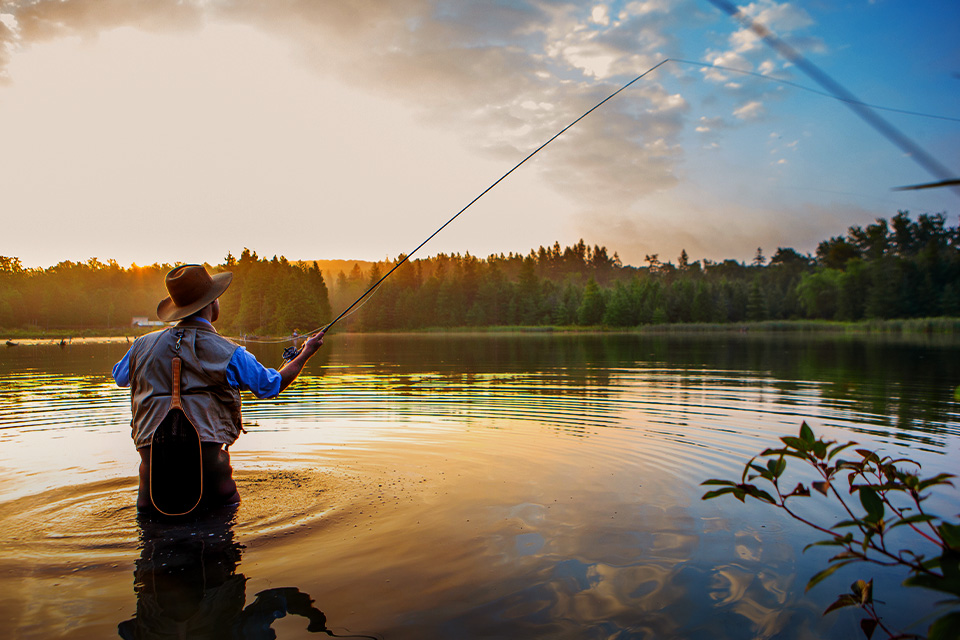 Blog Mancing Filosofish ID