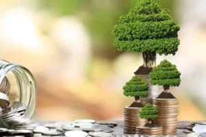 Langkah Awal Memulai Investasi Jangka Panjang yang Aman dan Menguntungkan