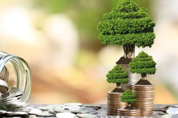 Langkah Awal Memulai Investasi Jangka Panjang yang Aman dan Menguntungkan