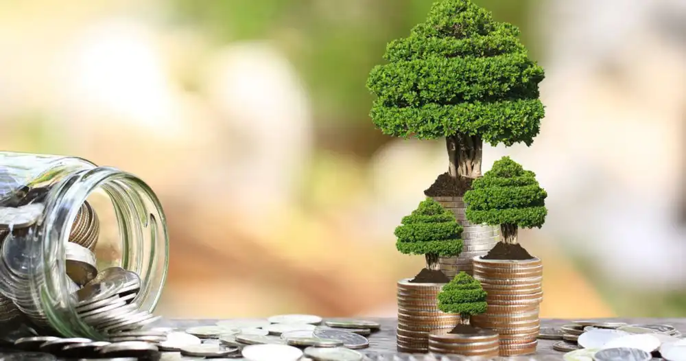 Langkah Awal Memulai Investasi Jangka Panjang yang Aman dan Menguntungkan